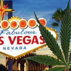 Localurile din Las Vegas în care se consumă canabis au fost aprobate pentru Strip și în oraș